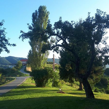 Maxl Villa Maltschach Buitenkant foto