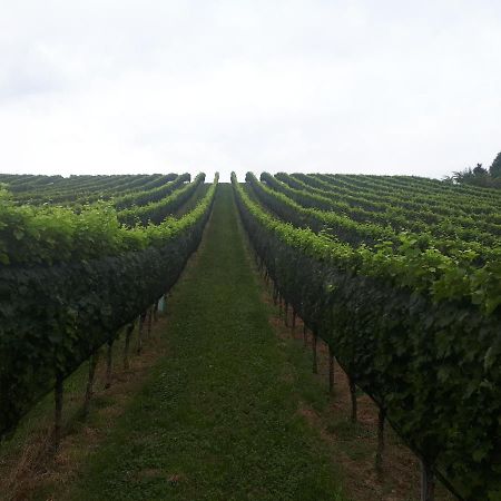 Maxl Villa Maltschach Buitenkant foto