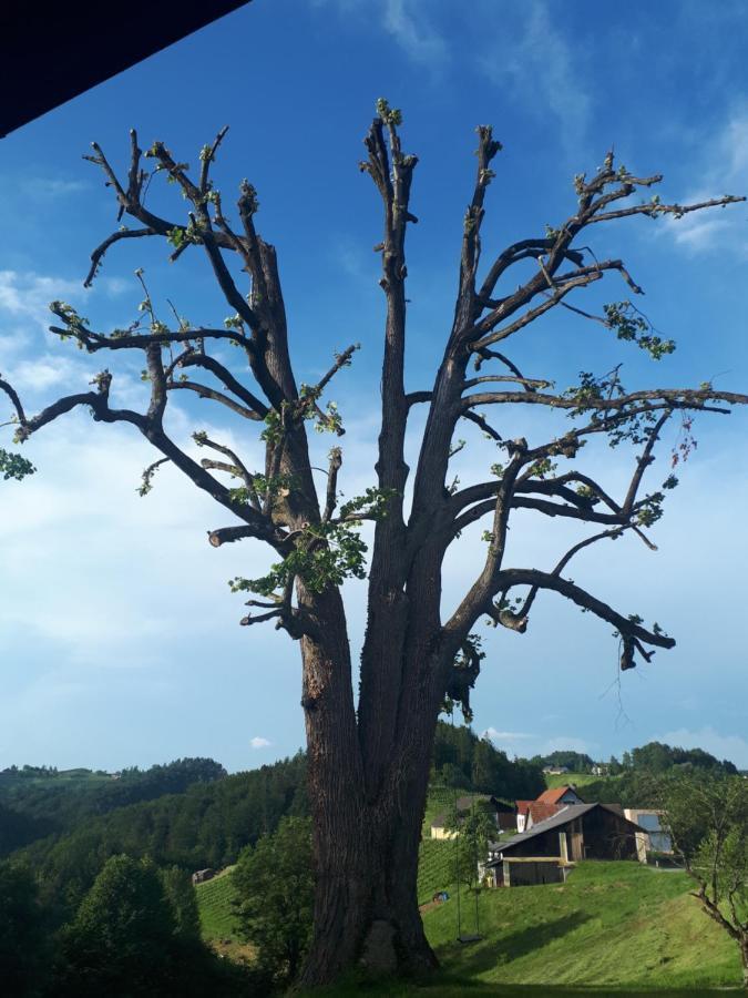 Maxl Villa Maltschach Buitenkant foto