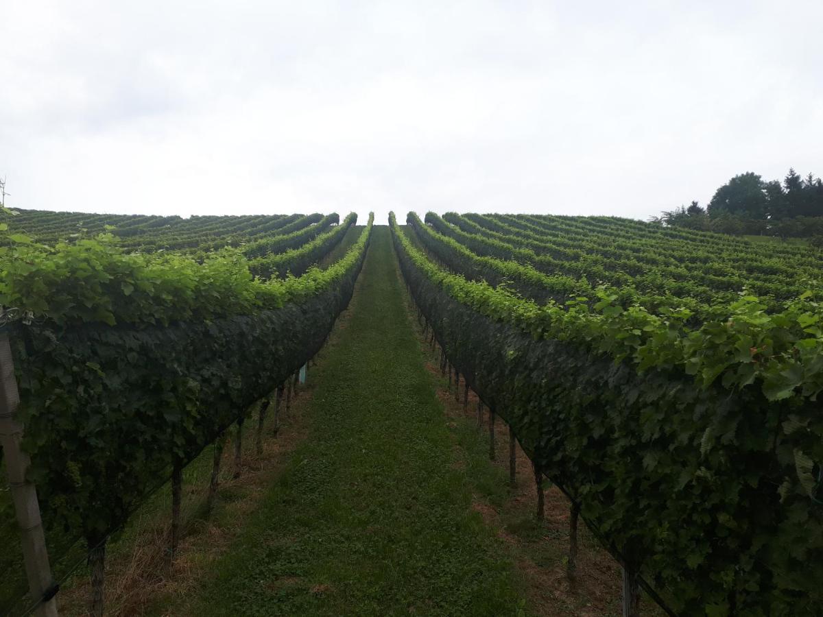 Maxl Villa Maltschach Buitenkant foto